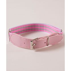 Babyhug Belt Free Size - Pink