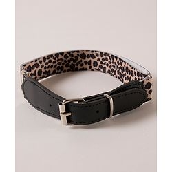 Babyhug Belt Free Size - Pink