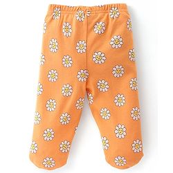 Babyhug Interlock Booties Pant With Floral Print Pack Of 3 - Orange Pink & Purple