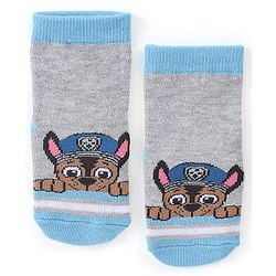 Cute Walk by Babyhug Cotton Blend Ankle Length Anti Bacterial Socks Paw Patrol Design Pack of 3 - Blue