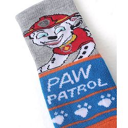 Cute Walk by Babyhug Cotton Blend Ankle Length Anti Bacterial Socks Paw Patrol Design Pack of 3 - Grey & Blue