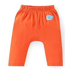 Babyhug Cotton Knit Full Length Diaper Pants Fish Print - Multicolour