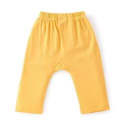 Babyhug Cotton Knit Full Length Diaper Pants Stripes & Dino Print Pack of 3 - Multicolour