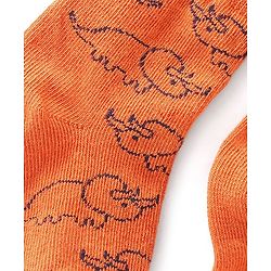 Cute Walk by Babyhug Anti Bacterial Ankle Length Dino Designs Socks Pack of 3 - Multicolour