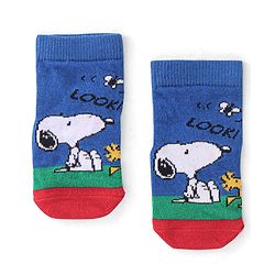 Cute Walk By Babyhug Paw Patrol Anti Bacterial Ankle Length Terry Socks- Blue