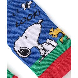 Cute Walk By Babyhug Paw Patrol Anti Bacterial Ankle Length Terry Socks- Blue