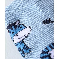Cutewalk By Babyhug Anti Bacterial Ankle Length Socks Lion Design Pack Of 3 - Blue
