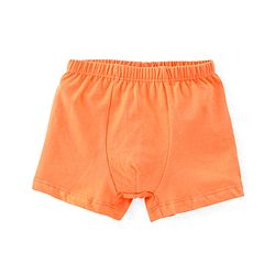 Babyhug 100% Cotton Bear Printed Trunk Pack of 3 - Multicolour