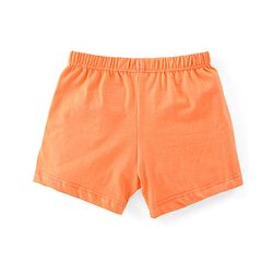 Babyhug 100% Cotton Bear Printed Trunk Pack of 3 - Multicolour