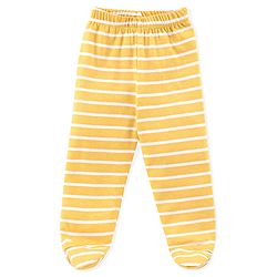 Babyhug Cotton Interlock Knit Bootie Pant Stripes & Lion Print Pack of 3 - Multicolor