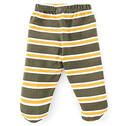 Babyhug Cotton Interlock Knit Bootie Legging Stripes & Tiger Print Pack of 3 - Multicolor