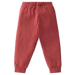 Babyhug Cotton Full Length Lounge Pants Fox Print Pack of 3 - Blue Green & Red