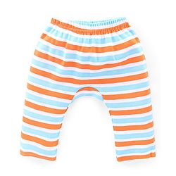 Babyhug Cotton Knit Full Length Bear Print Diaper Pants Pack of 3 - Multicolour