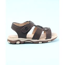 Cute Walk by Babyhug Sandals - Brown