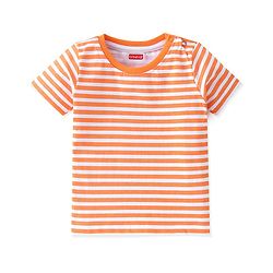 Babyhug 100% Cotton Knit Half Sleeves T-Shirt With Dino Graphics  & Striped Pack Of 3 -Blue & Orange