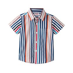 Babyhug 100% Cotton Woven Half Sleeves Regular Collar Striped Shirt- Multicolor