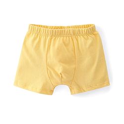 Babyhug 100% Cotton Bear Printed Trunks Pack of 5 - Multicolour