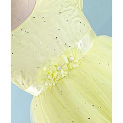 Babyhug Cap Sleeves Party Wear Fit and Flare Dress with Floral Applique- Yellow