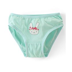 Babyhug 100% Cotton Knit Panties Floral Print Pack of 3 - Multicolour