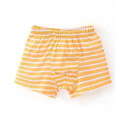 Babyhug 100% Cotton Trunk Star Print Pack of 3 - Multicolour