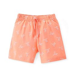 Babyhug Cotton Knit Shorts Paper Plane Print - Orange