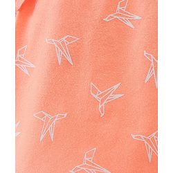 Babyhug Cotton Knit Shorts Paper Plane Print - Orange