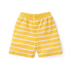 Babyhug Cotton Knit Dino & Stars Printed Shorts Pack of 3 - Multicolour