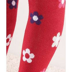 Cute Walk by Babyhug Anti Bacterial Footed Tights Floral Design - Red