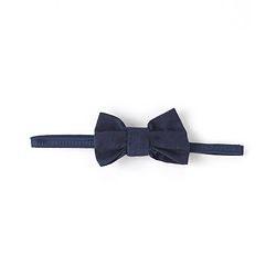 Babyhug 100% Cotton Woven Half Sleeves Regular Collar Checked Shirt with Bow - Blue