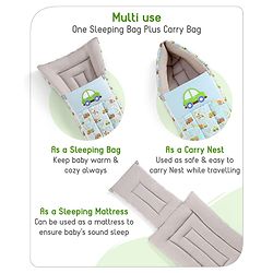 Babyhug 3 in 1 Baby Carry Nest Cum Sleeping Bag Little Princess Embroidery - Pink