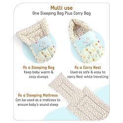 Babyhug 3 in 1 Baby Carry Nest Cum Sleeping Bag Little Princess Embroidery - Pink