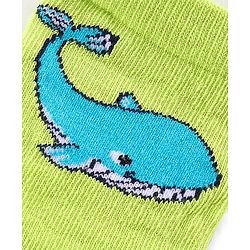 Cute Walk by Babyhug Anti Bacterial Ankle Length Socks Whale Design Pack Of 3 - Multicolour