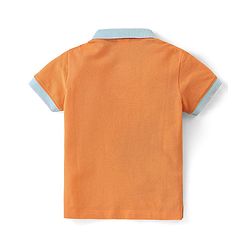 Babyhug Cotton Knit Half Sleeves Striped Polo T-Shirt Color Block - Multicolor