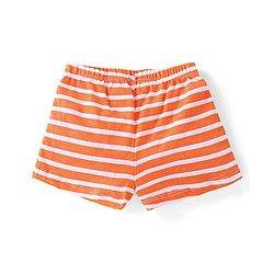 Babyhug 100% Cotton Antibacterial Trunks Crocodile Print Pack of 3 - Orange & Blue
