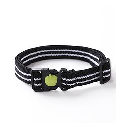 Babyhug Apple Patch Belt Stripe - Black