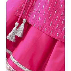 Babyhug Net Sleeveless Embroidered Ethnic Dress with Sequins - Fuschia