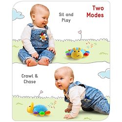 Babyhug Musical Bump and Go Beetle Projector Toy With Light- Yellow| Animal Toy With Music, Lights & Sounds For 12 Months+| Fun Learning Toy for Kids| Best Gift for Toddlers| Non-Toxic| BIS Certified