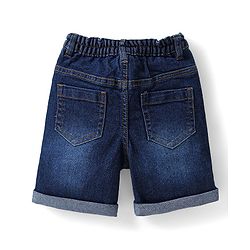 Babyhug Cotton Woven Half Sleeves Checks Shirt & Denim Shorts Set - Pink & Blue
