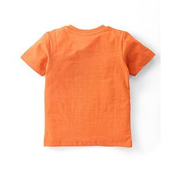 Babyhug Cotton Knit Half Sleeves T-Shirt Bear Graphics Pack Of 3 - Blue Green & Orange