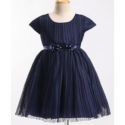 Babyhug Cap Sleeves  Fit & Flare   Party Frock with Floral Applique - Navy Blue