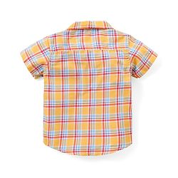 Babyhug Cotton Woven Half Sleeves Checks Shirt & Shorts Set with Bow - Multicolour