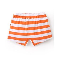 Babyhug Disney Cotton Knit Striped & Winnie Pooh Printed Boxers Pack of 3 - Multicolour