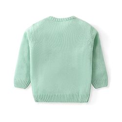 Babyhug Knitted Full Sleeves Pullovers Sweater With Sequin Dragonfly Detailing - Mint