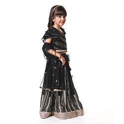 Babyhug  Sleeveless Sequenced Corddori   Embroidered Choli Lehenga & Frill Net Dupatta Set- Black