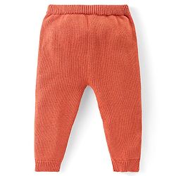 Babyhug Knit Full Sleeves Sweater Set with Giraffe Design - Yellow & Rust