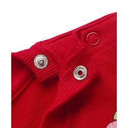 Babyhug Knit Full Balloon Sleeves Sweatshirt With Floral Graphics Foil Print & Mesh Detailing - Red