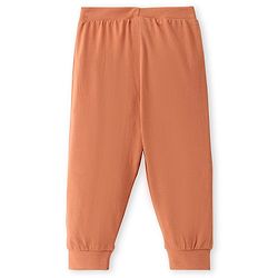 Babyhug Cotton Knit Full Length Lounge Pant with Teddy Print & Applique- Rust