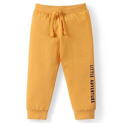 Babyhug Cotton Knit Full Length Lounge Pants with Text Print Pack of 3 - Multicolour