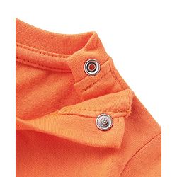 Babyhug Cotton Knit  Full Sleeves T-Shirt with Animal Graphics Pack of 5 - Multicolor