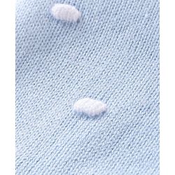 Babyhug Knit Full Sleeves Hooded Sweater with Ear Applique - Blue